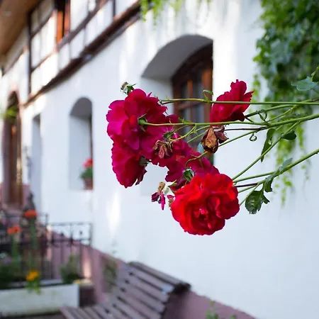 Tatil Evi Gites Domaine D'estary